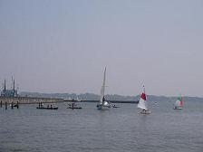 �H������ɑ����Ă������������b�g�̎ʐ^�ł�